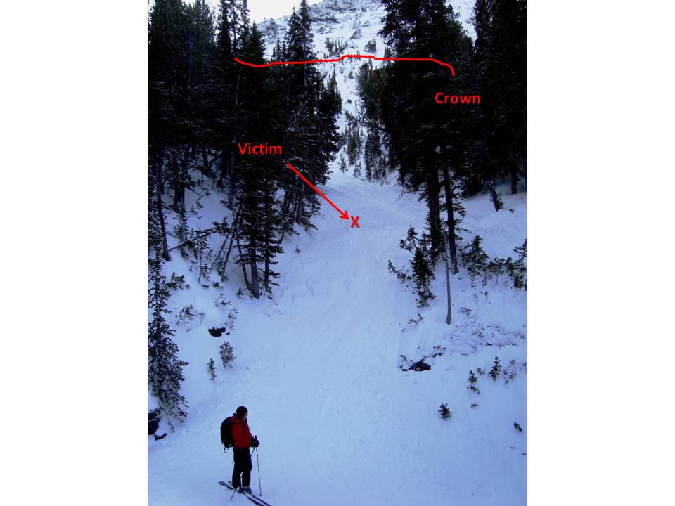 Hayden_Looking up the path from the creek Hayden_Looking up the path from the creek