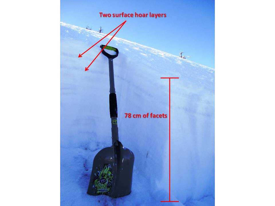Buried Surface Hoar at Lionhead Buried Surface Hoar at Lionhead