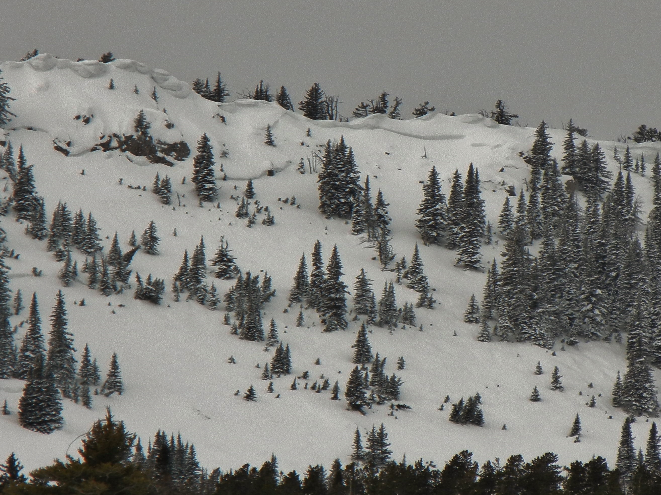 Northern Bridgers Avalanche 1 Northern Bridgers Avalanche 1