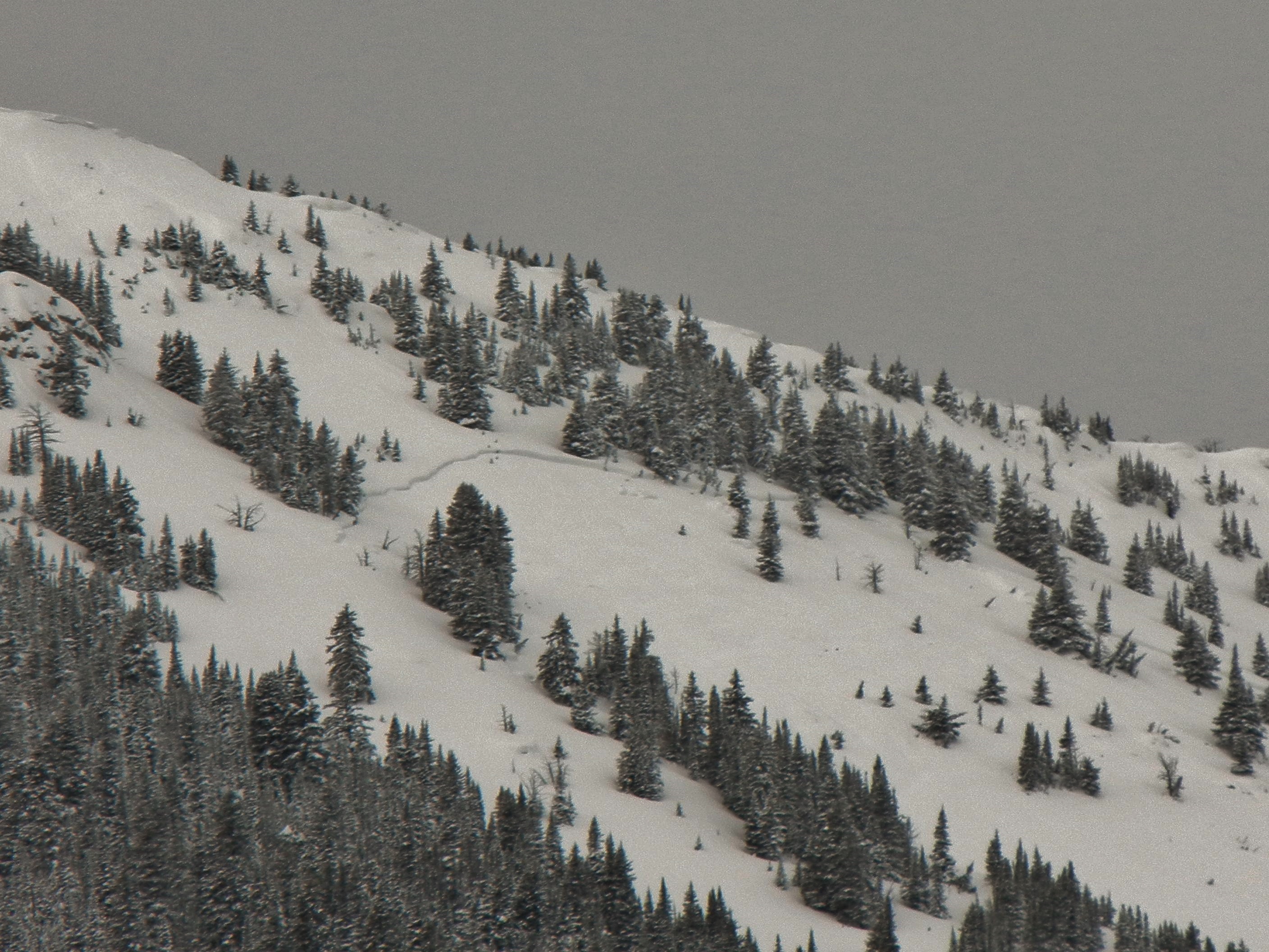 Northern Bridgers Avalanche 2 Northern Bridgers Avalanche 2