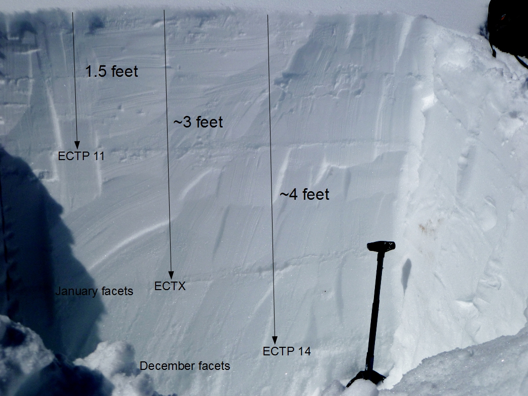 Weak layers in the snowpack - Taylor Fork Weak layers in the snowpack - Taylor Fork