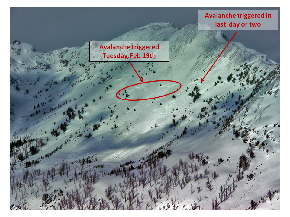 Another Sheep Basin Avalanche Another Sheep Basin Avalanche