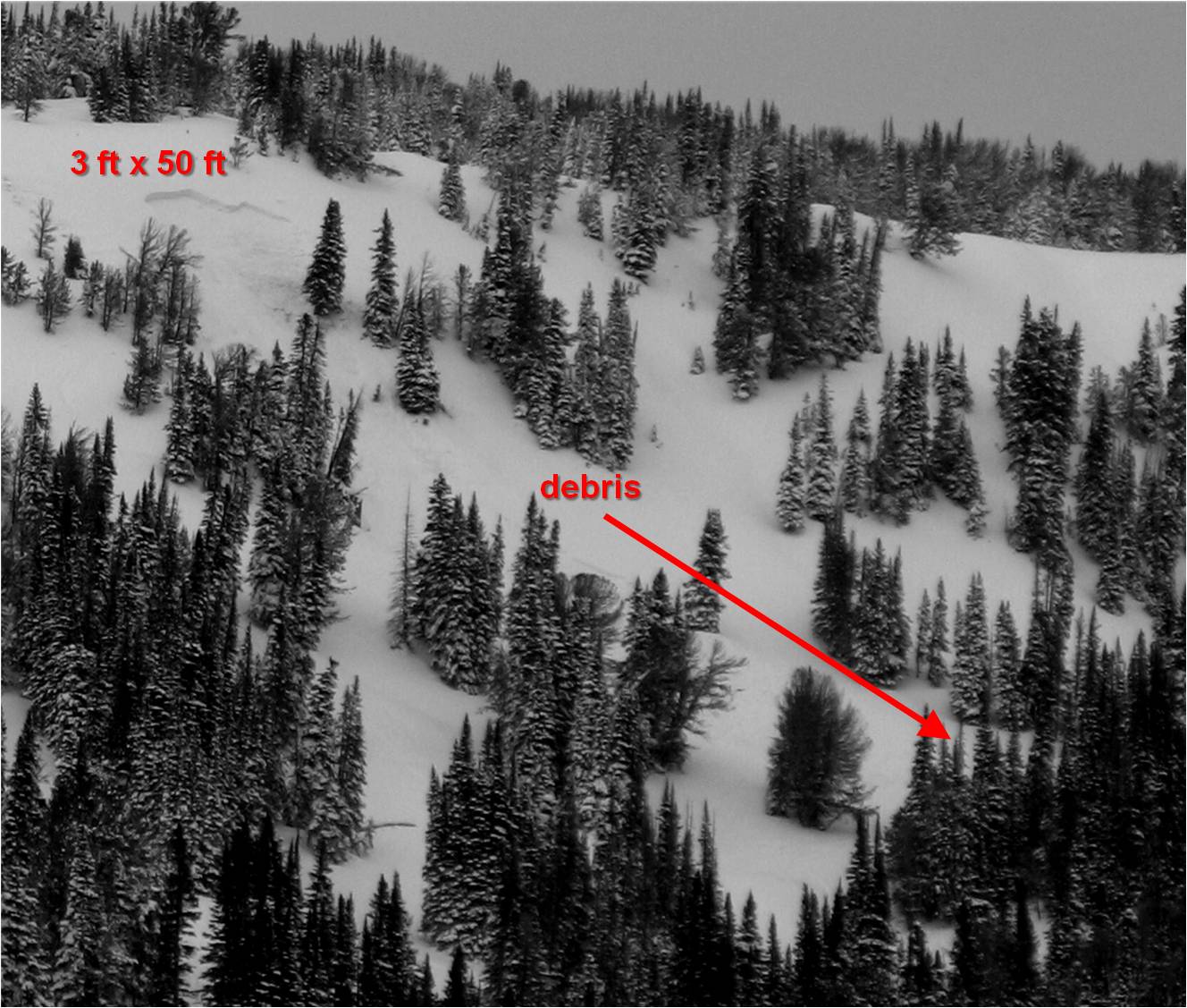 Wind Slab in Taylor Fork Wind Slab in Taylor Fork