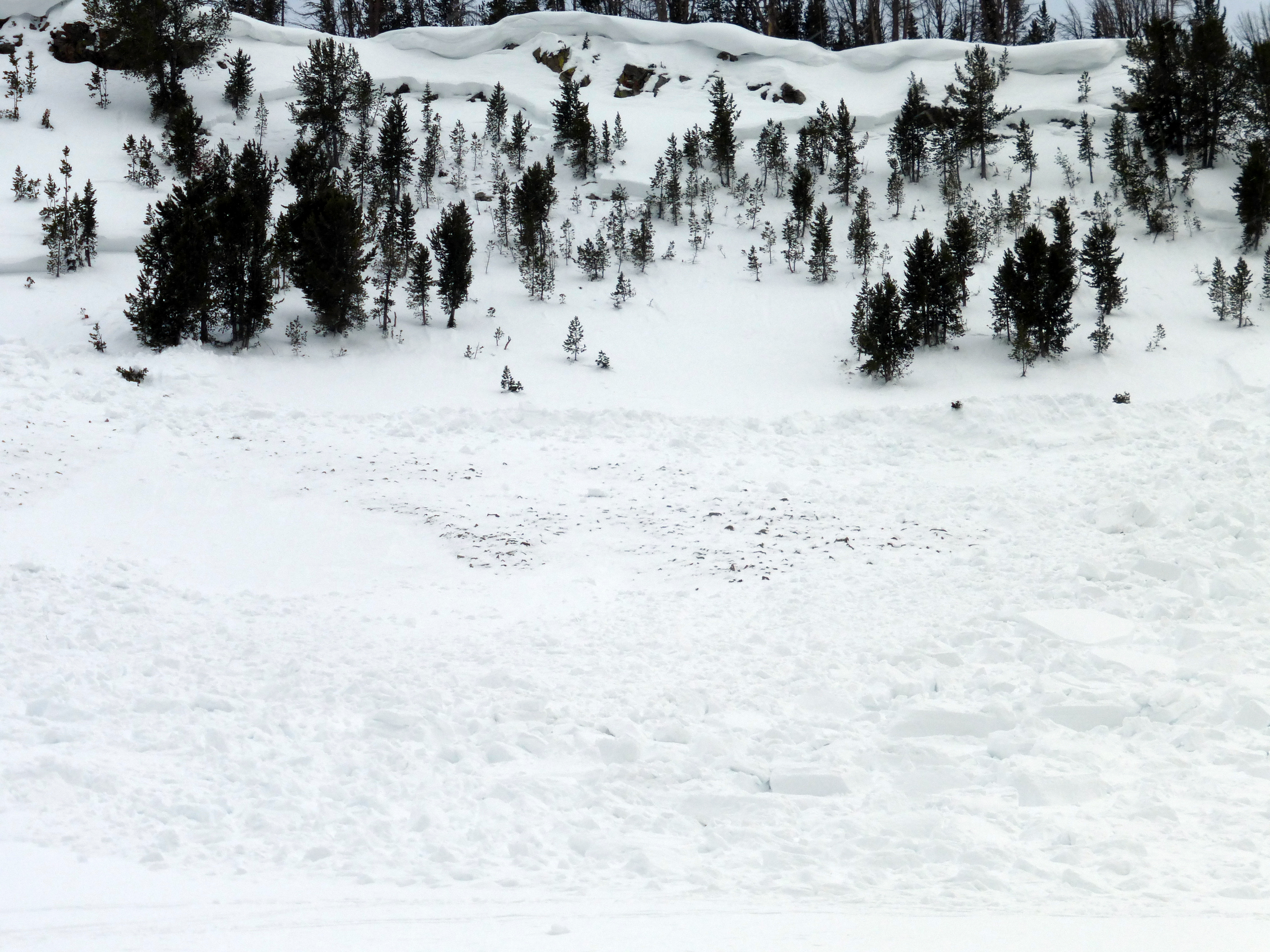 Recent Avalanche - Northern Madison Range Recent Avalanche - Northern Madison Range