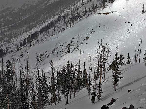 Sheep Creek Avalanche near Cooke City Sheep Creek Avalanche near Cooke City