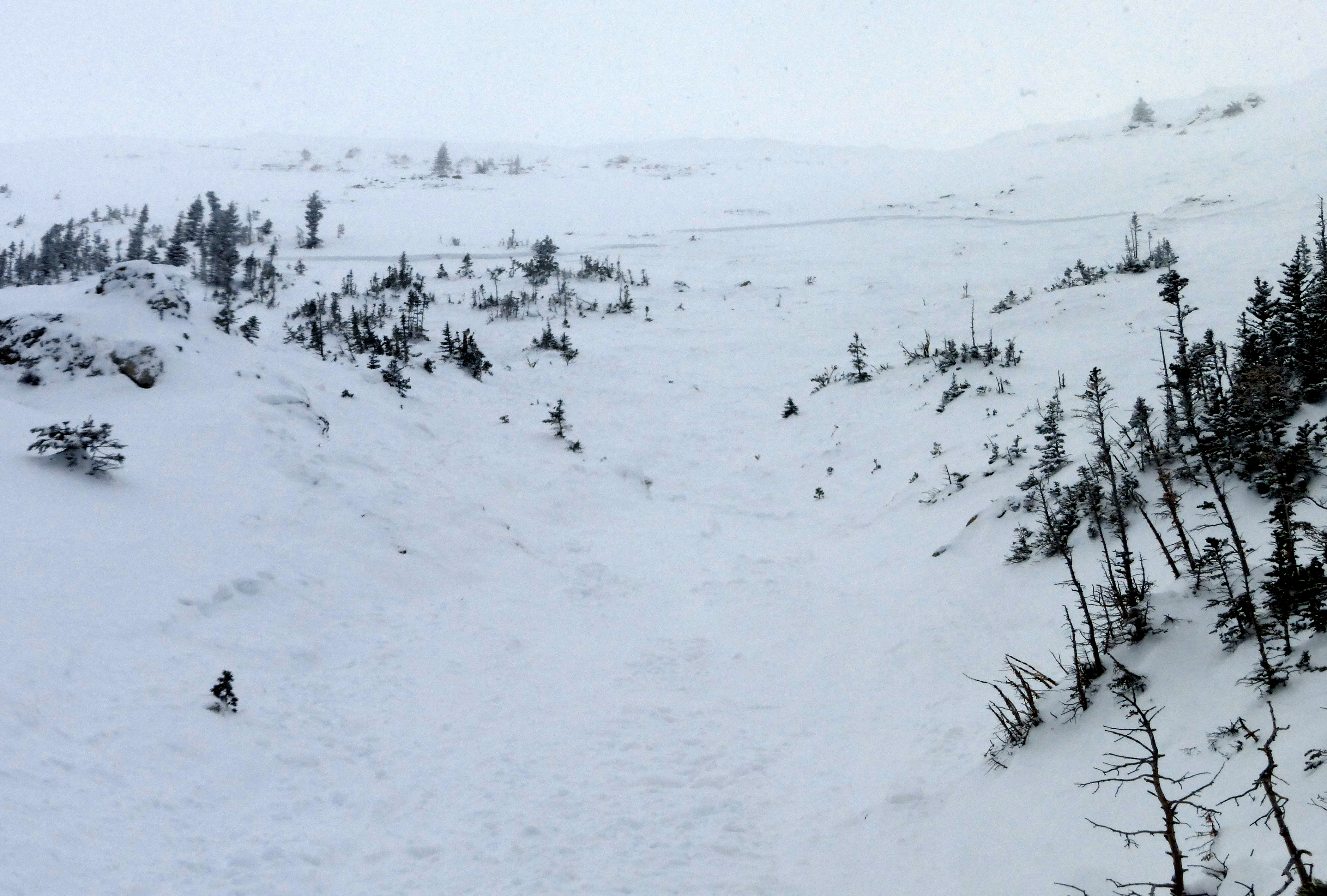 Football Field Avalanche - 1/14/16 Football Field Avalanche - 1/14/16