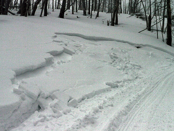 Small Avalanches near Cooke City Small Avalanches near Cooke City